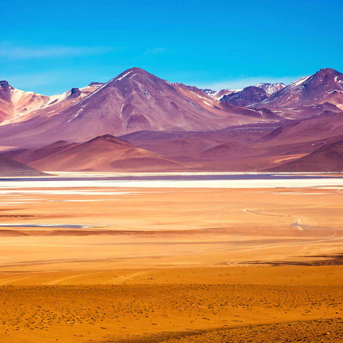 size500x500-dali-desert-bolivia-large